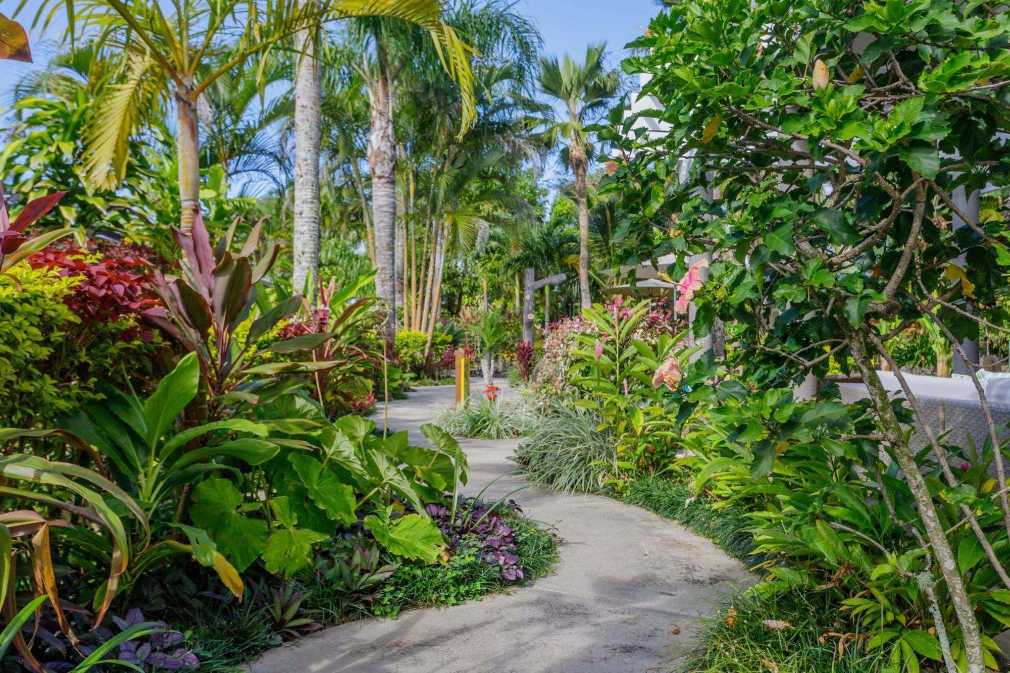 Rarotonga Daydreamer Escape Exterior photo
